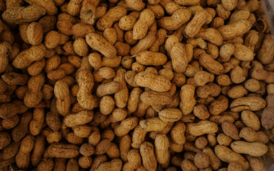 Peanuts: a hidden treasure trove of nutrients and benefits