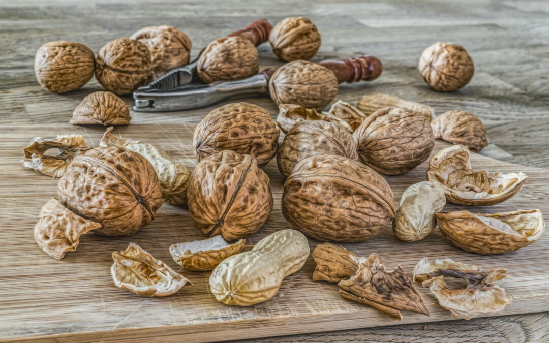 Pagan myths and legends about nuts from the ancient world