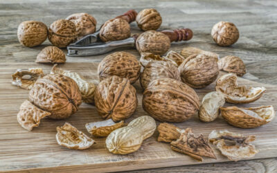 Pagan myths and legends about nuts from the ancient world