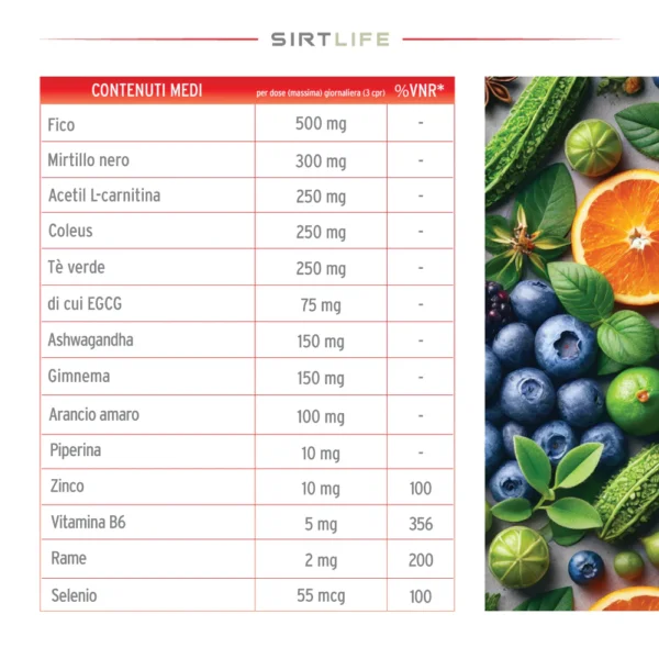 Sirtlife Lipo - Image 5